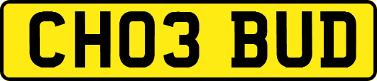 CH03BUD