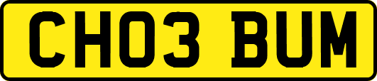 CH03BUM
