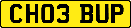 CH03BUP