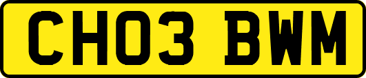 CH03BWM