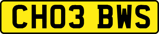 CH03BWS
