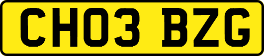 CH03BZG