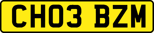 CH03BZM