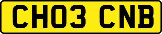 CH03CNB