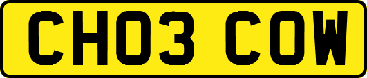 CH03COW