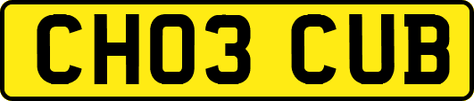 CH03CUB