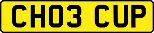 CH03CUP