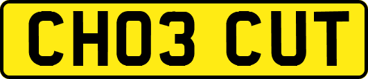CH03CUT