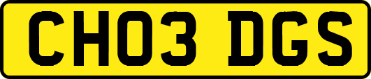 CH03DGS