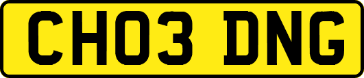 CH03DNG