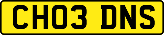 CH03DNS