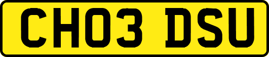 CH03DSU