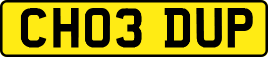 CH03DUP