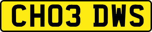 CH03DWS