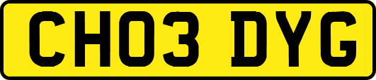 CH03DYG