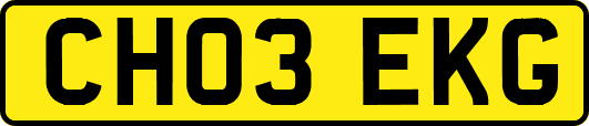 CH03EKG