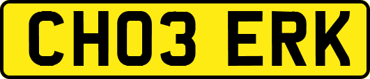 CH03ERK