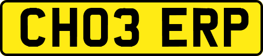 CH03ERP