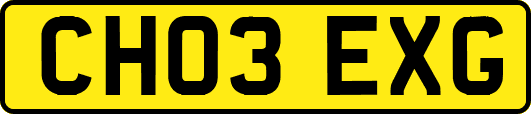 CH03EXG