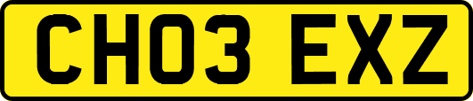 CH03EXZ