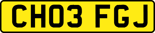 CH03FGJ