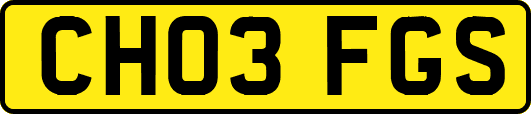 CH03FGS
