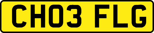 CH03FLG
