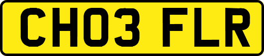 CH03FLR
