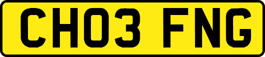 CH03FNG