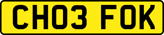 CH03FOK