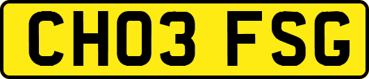 CH03FSG