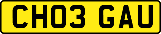 CH03GAU