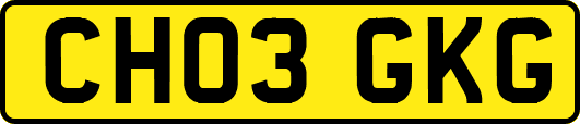 CH03GKG