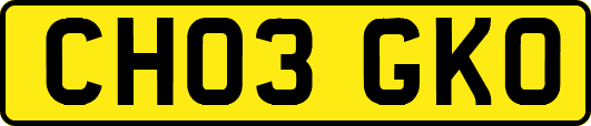 CH03GKO