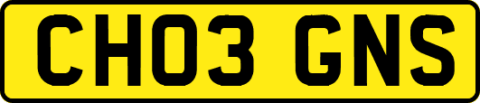 CH03GNS