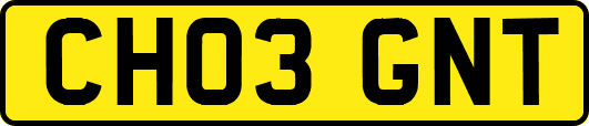 CH03GNT