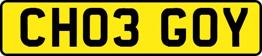 CH03GOY
