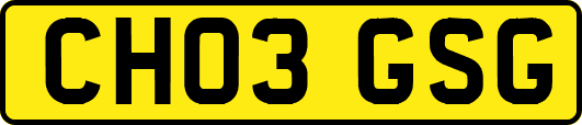 CH03GSG