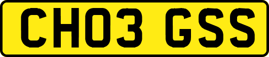 CH03GSS