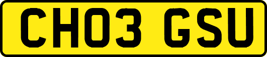 CH03GSU