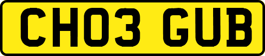 CH03GUB