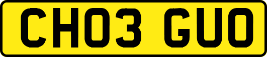 CH03GUO