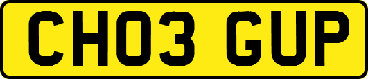 CH03GUP