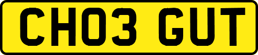CH03GUT