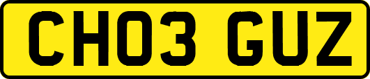 CH03GUZ
