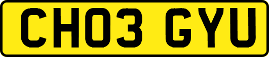CH03GYU