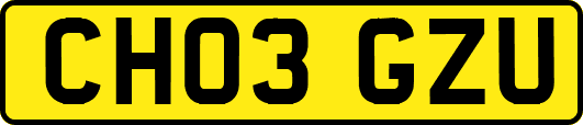 CH03GZU