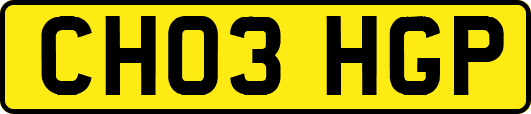 CH03HGP
