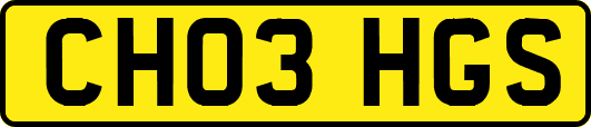 CH03HGS