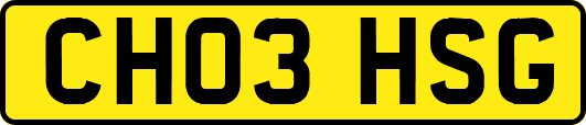 CH03HSG